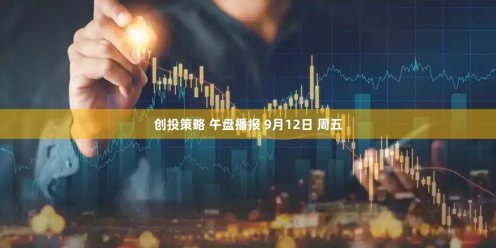创投策略 午盘播报 9月12日 周五