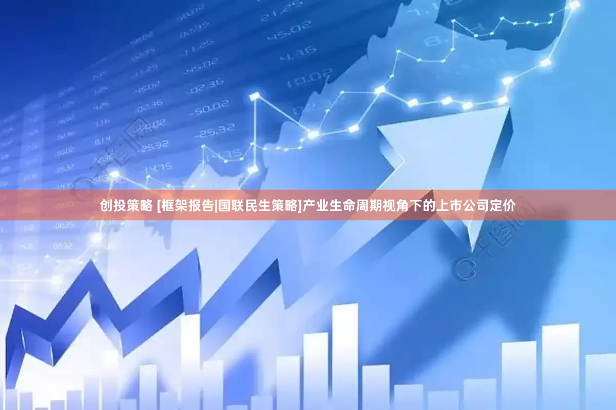创投策略 [框架报告|国联民生策略]产业生命周期视角下的上市公司定价